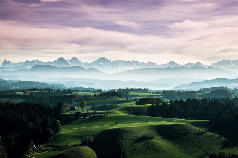 emmental