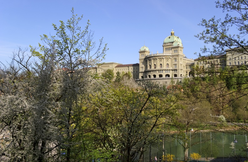 BH Fruehling 12