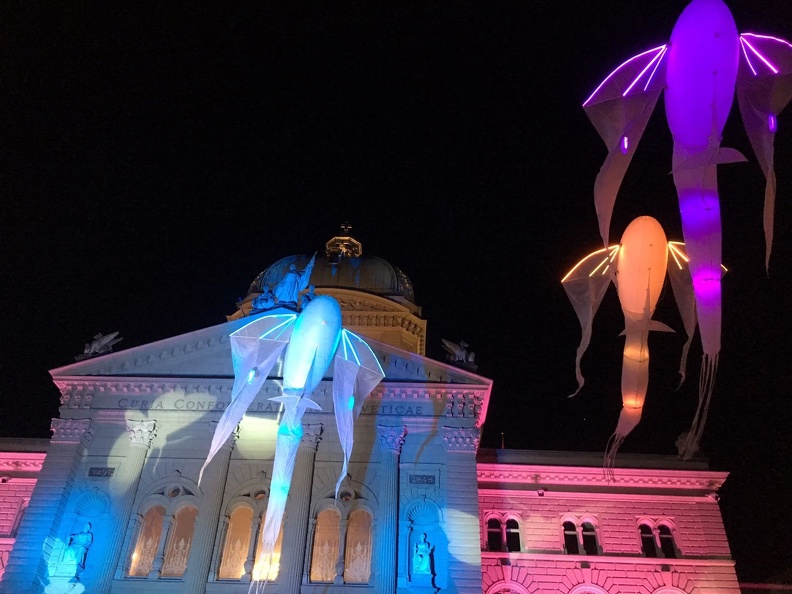 Museumsnacht Bern 2018 im Bundeshaus