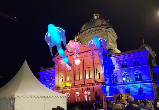Museumsnacht Bern 2018 im Bundeshaus