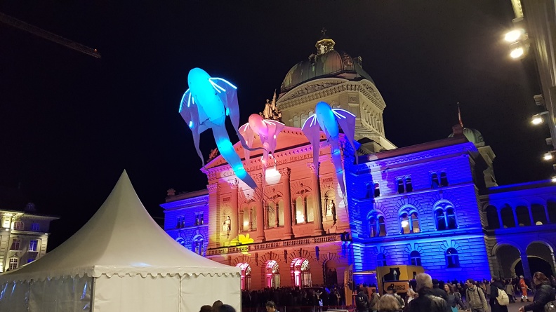 Museumsnacht Bern 2018 im Bundeshaus