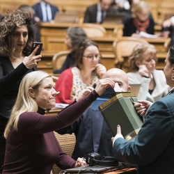 Ratspräsidien Wahlen - éléction présidences