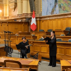 Legislaturen - législatures (Rückblick)