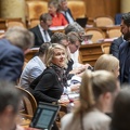 parl mra 06032024 14